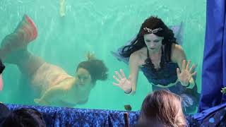 Blue Mermaid Designs At The Florida Renaissance Festival 3-24-2018