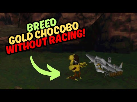[FF7] How to Breed Gold Chocobo Fast without Racing