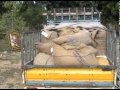 Thoothukudi Rice Kadathal Mpg