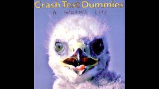 Crash Test Dummies - My Own Sunrise