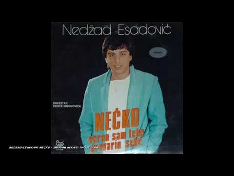 Nedžad Esadović Nećko - Zbog mladosti tvoje lude (AUDIO 1985)