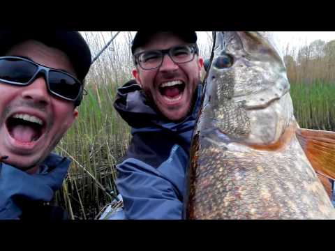 download lagu mp3 mp4 Brochet Irlande Com, download lagu Brochet Irlande Com gratis, unduh video klip Brochet Irlande Com