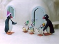 Pingu S02e23 Pingu And Pinga At The Kindergarten