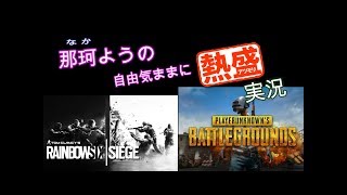 VALORANT　配信　セージ使い