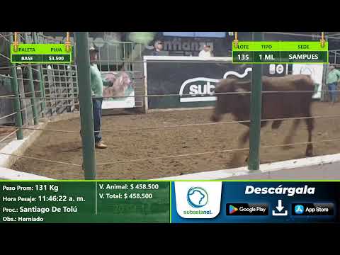 Subasta Virtual - Presencial Sampués (E)45 31/10/2025