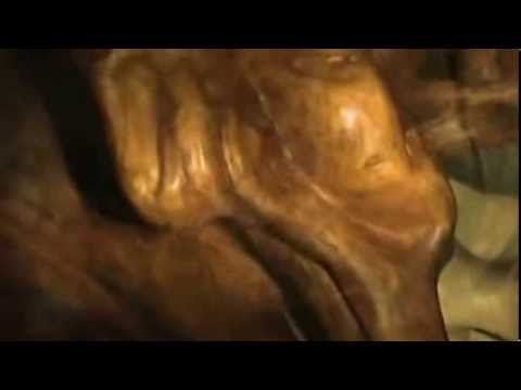 Rui Nóbrega - Exposição no Be Fado