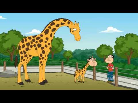Cutaway Compilation Season 10   Family Guy