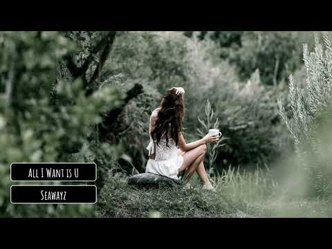 Seawayz - All I Want is U