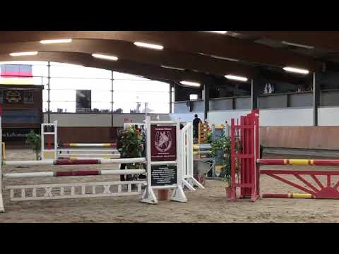 Balous Bellini x Cento