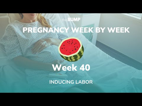 This week in Babyland (Week 40)