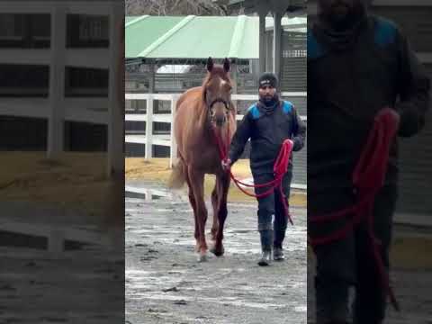 {{itemName}}_video_thumbnail