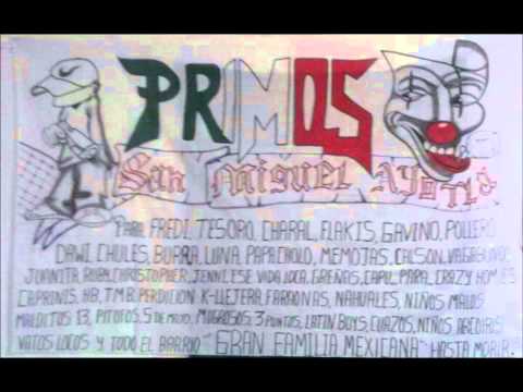 san miguel ayotla 2013, sonido twist, la cumbia talibanera