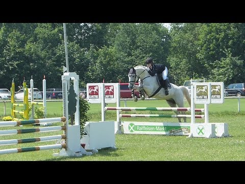 E & A-Vielseitigkeit Beedenbostel 2016♥ [fast Sturz & Sieg]