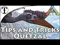Fast Quetzal Taming Guide :: Ark : Survival Evolved Tips and Tricks