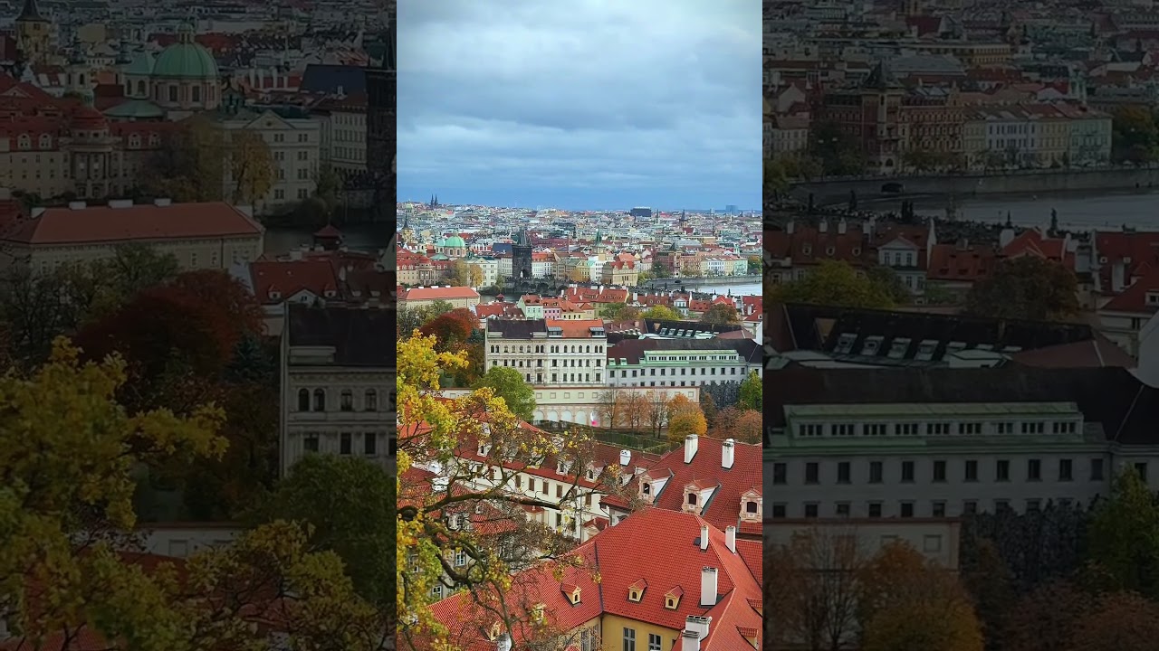 YouTube Short thumbnail