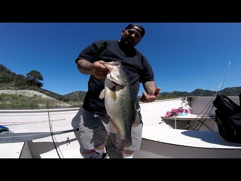5LB BASS LIGHT TACKLE FISHING #OXBLOOD RED FLAKE #ROBOWORM #DROPSHOT #GOPRO #2019 #Lopezlake