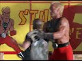 3 Ninjas Dave Dragon