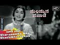 Sharanembe Naa Classic Song Mallammana Pavada Kannada Movie Songs Sarojadevi