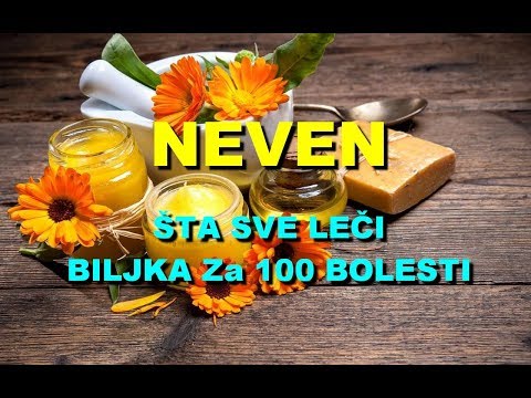 NEVEN - ŠTA SVE LEČI BILJKA Za 100 BOLESTI
