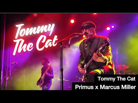 Primus x Marcus Miller | What Happens When Marcus Miller Meets Primus ?!