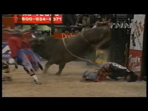 Gold Coast Gambler bucks Casey Gates - 99 PBR Finals