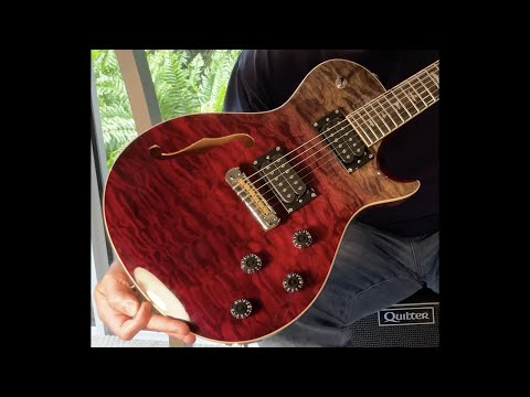 2020 PRS SE Zach Myers - Rare Brian's Guitars Exclusive (1 of 60 Charcoal Cherry Fade) Bild 13