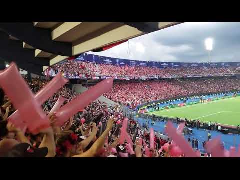 "Yo soy sabalero ,desde la tribunaðŸŽµðŸŽ¶" Barra: Los de Siempre &bull; Club: Colón