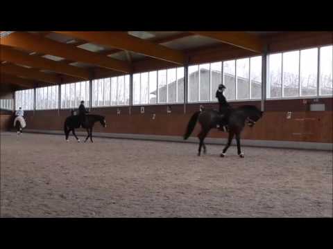 Dina Hodde auf Wontreux 14.01.16