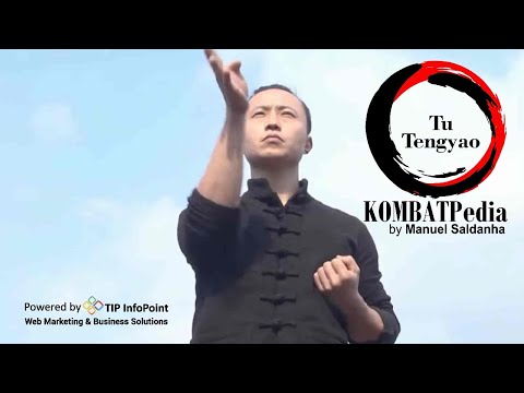 Who is Tu Tengyao (English) - Wing Chun