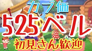 【あつ森とテトリス】カブ価525ベル島など　ライブ参加型