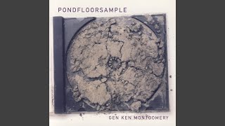 The Aquarium Fishtank Symphony