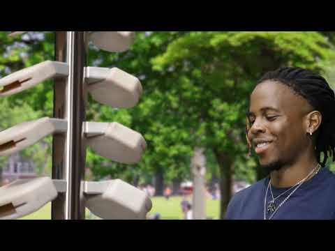 Temple Block Tree Outdoor Instrument video 1