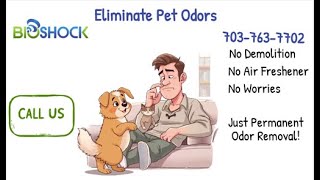 Pet Odor Removal with BioShock