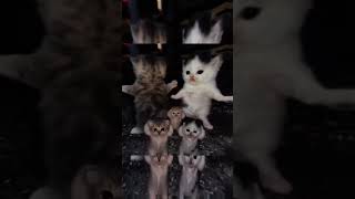 Download lagu https://youtube.com/shorts/qHUB1Tr3OB8?si=eDAGV09pyXFKlm_C mp3