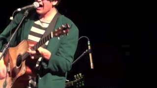 Vid #222: Miniature Tigers - &quot;Dino Damage&quot;