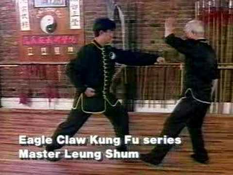 Video Sample Ying Jow Pai series
