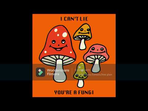 LSDREAM, Cojaxx   Peace Love & Wubz