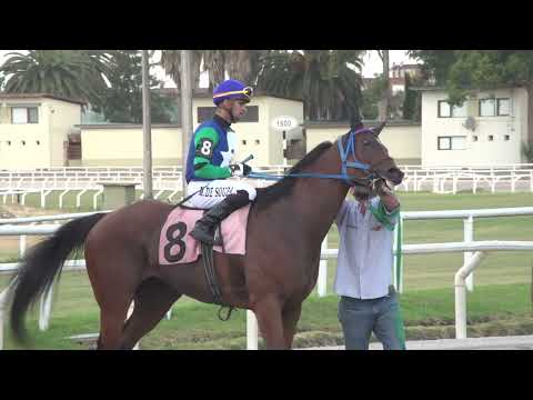 230128 c09 ZIGGY STARDUST