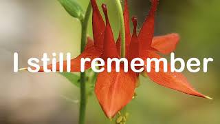 In Hands Of The Potter -Casting Crowns