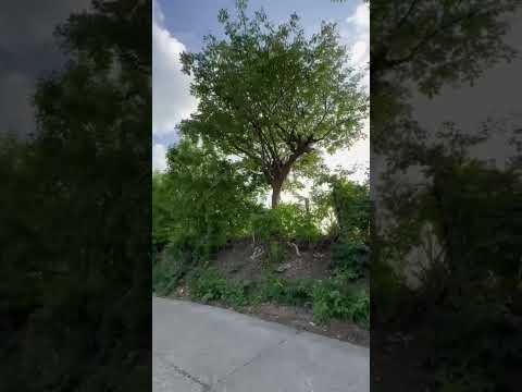 Desde  El camino al carrizal  San Jose La arada Chiquimula Guatemala