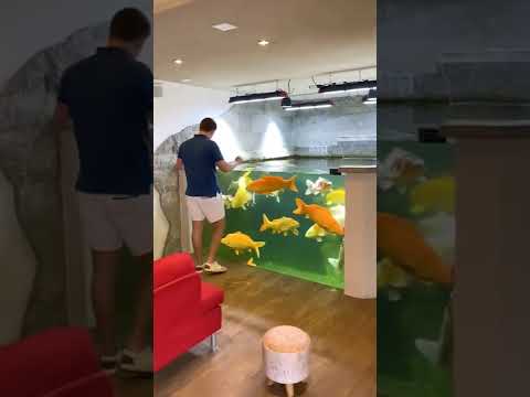 INCREIBLE acuario de Carpas Koi!! 🤩