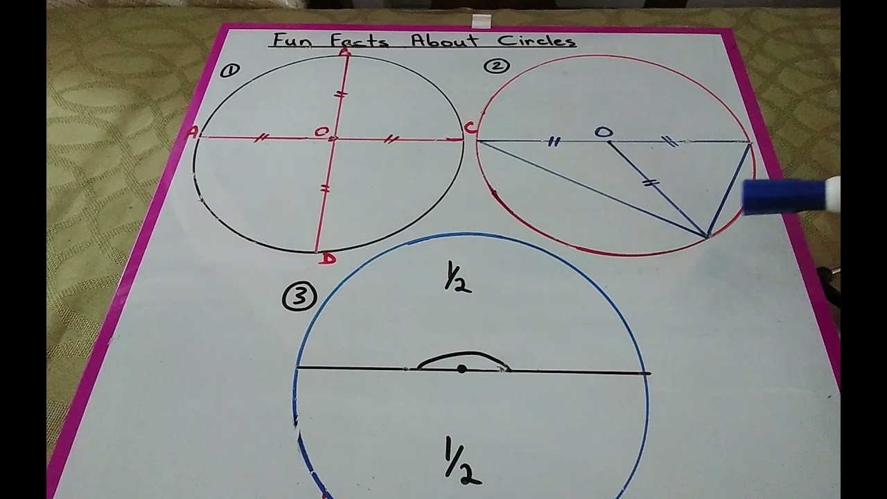 Fun Facts About Circles