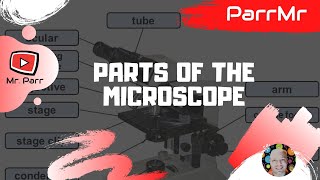 Cover art for Pars Of The Microscope Song