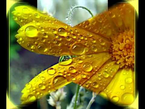 !!~ Kabhi Jo Bin MosaM BarSaaT Agayi Hu Gi ~!!.flv