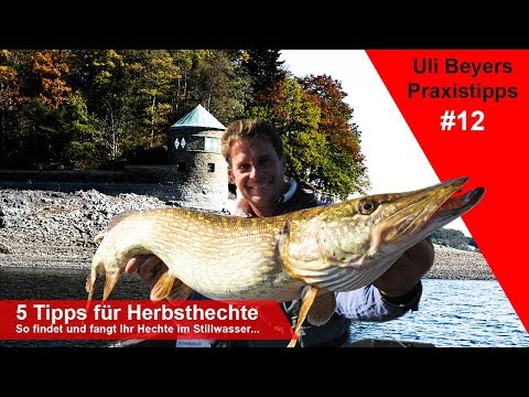5 Tipps für den Hechtfang im Herbst