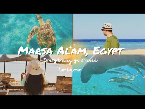 Watch this before visiting Marsa Alam| Egypts hidden gem 🇪🇬|Things to do in Marsa Alam