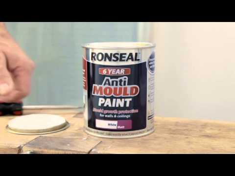 download lagu mp3 mp4 Anti Fungal Paint, download lagu Anti Fungal Paint gratis, unduh video klip Anti Fungal Paint