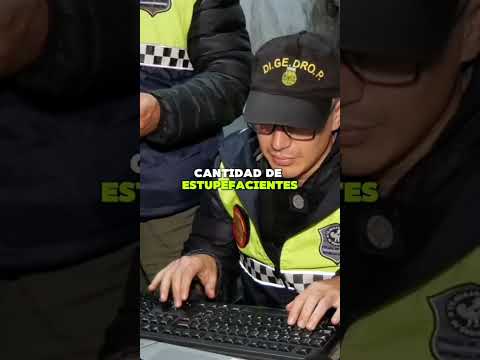 7 allanamientos simultaneos