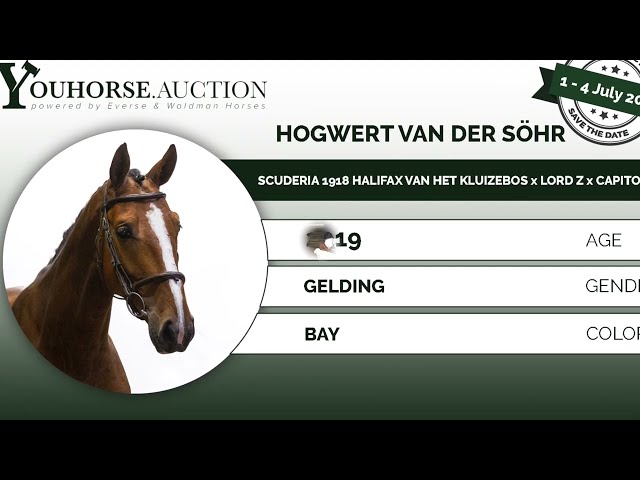 Hogwart van der Söhr