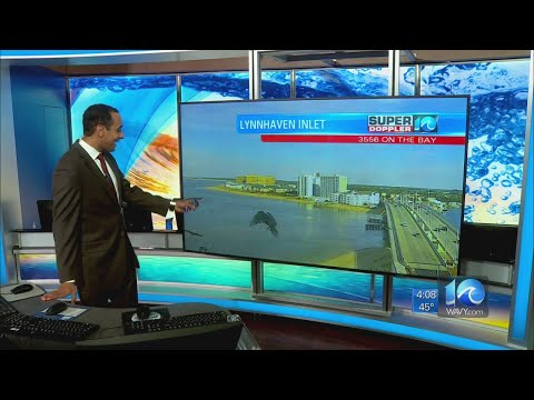 Birds on camera at Lynnhaven Inlet in Virginia Beach